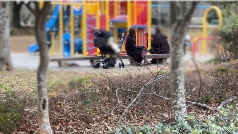 FC2-PPV-4821039 | Influencer's Wife Seduced in Park & Car Adventure