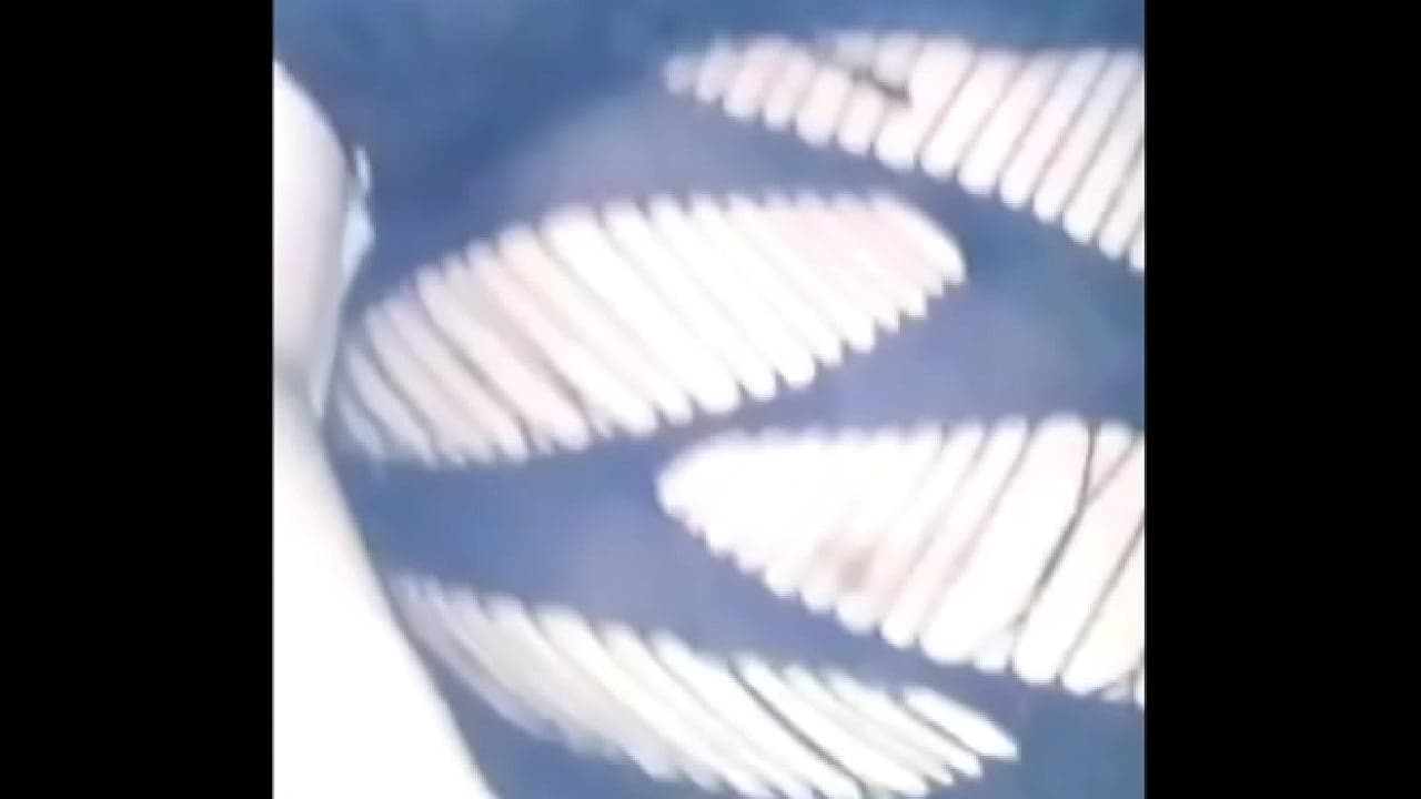 Moviecairollc - update #2 - Hjkf - Apr 22, 2025