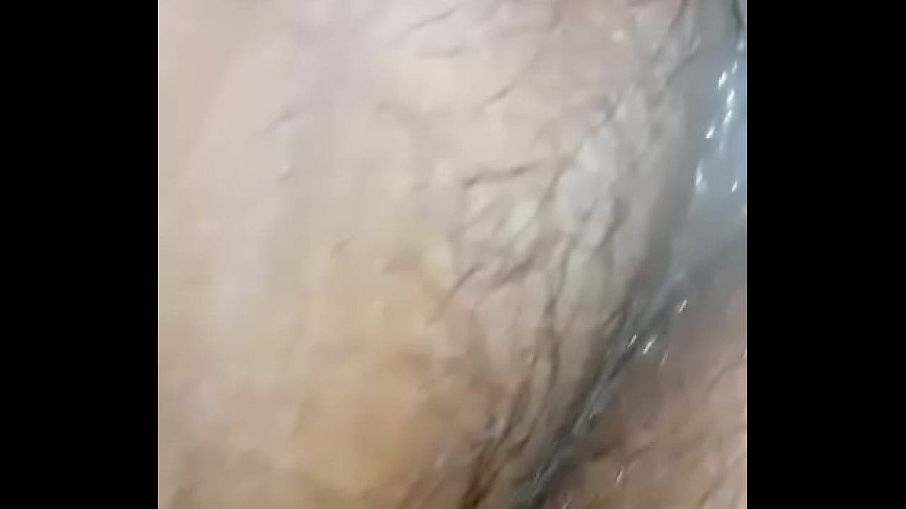 Evergreen2051 - Update #37 - Sensual Timeless Desire (May 03, 2025)